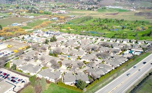 Ironwood